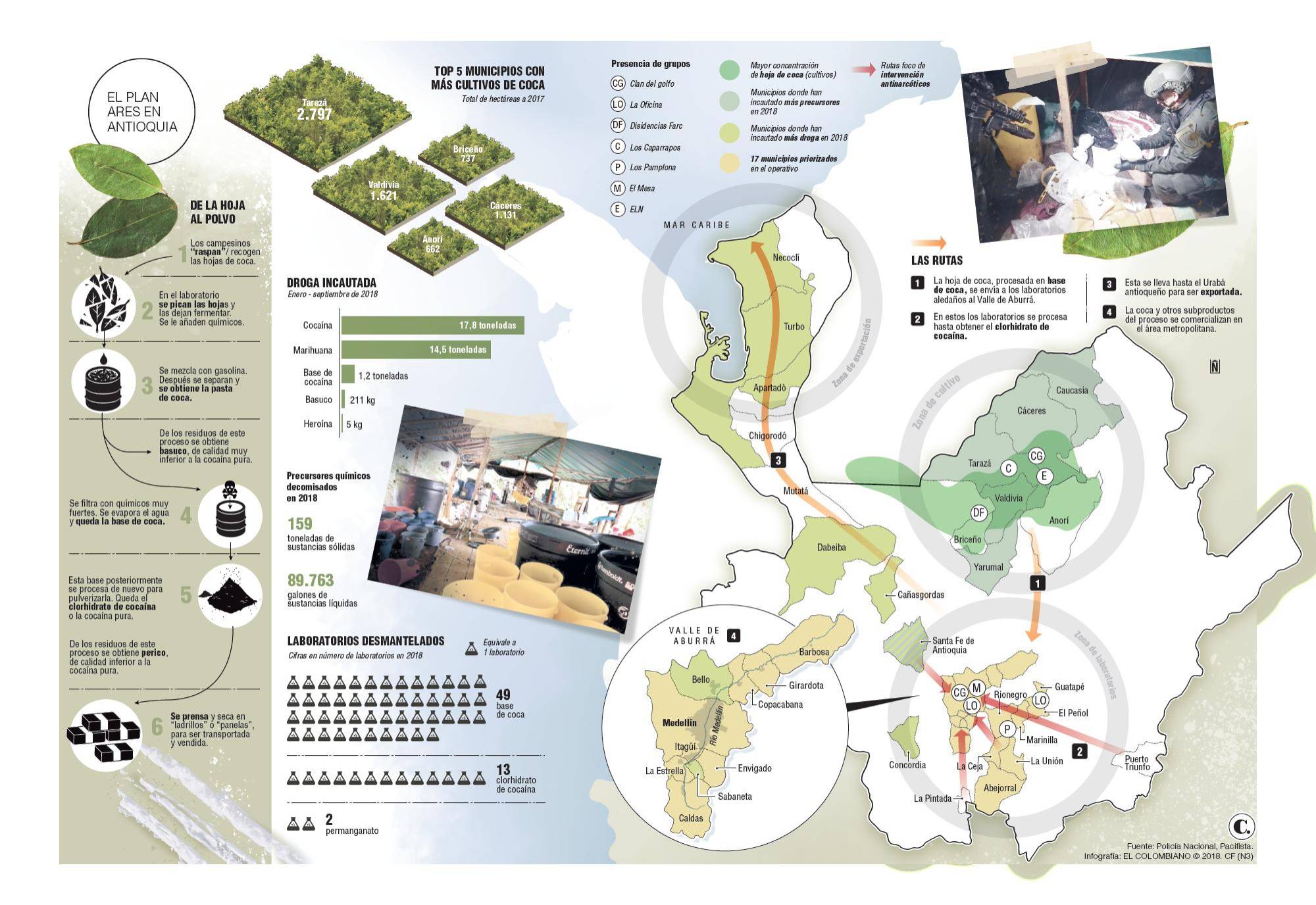 InfogrÃ¡fico