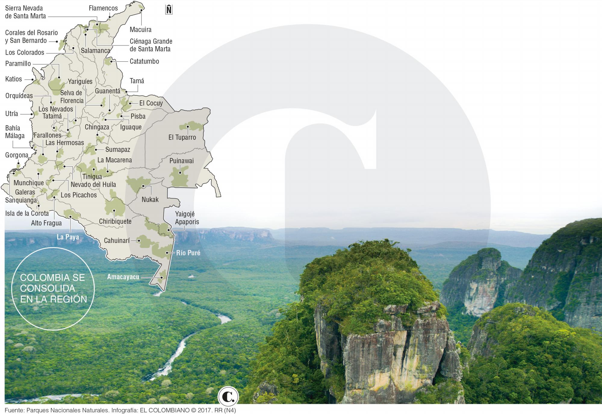 InfogrÃ¡fico