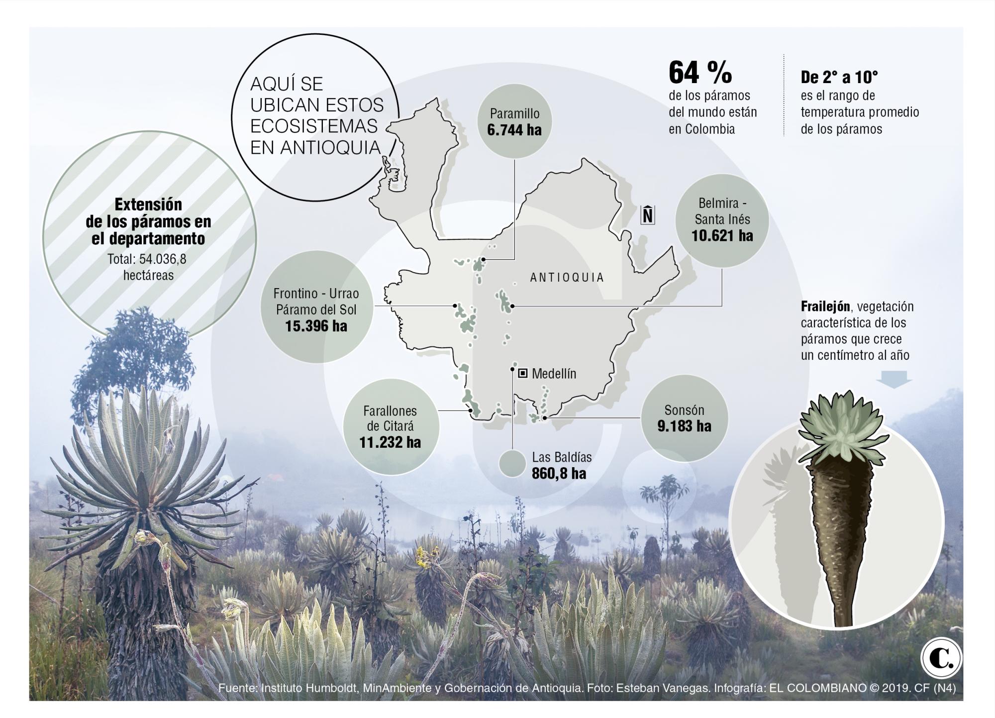 InfogrÃ¡fico