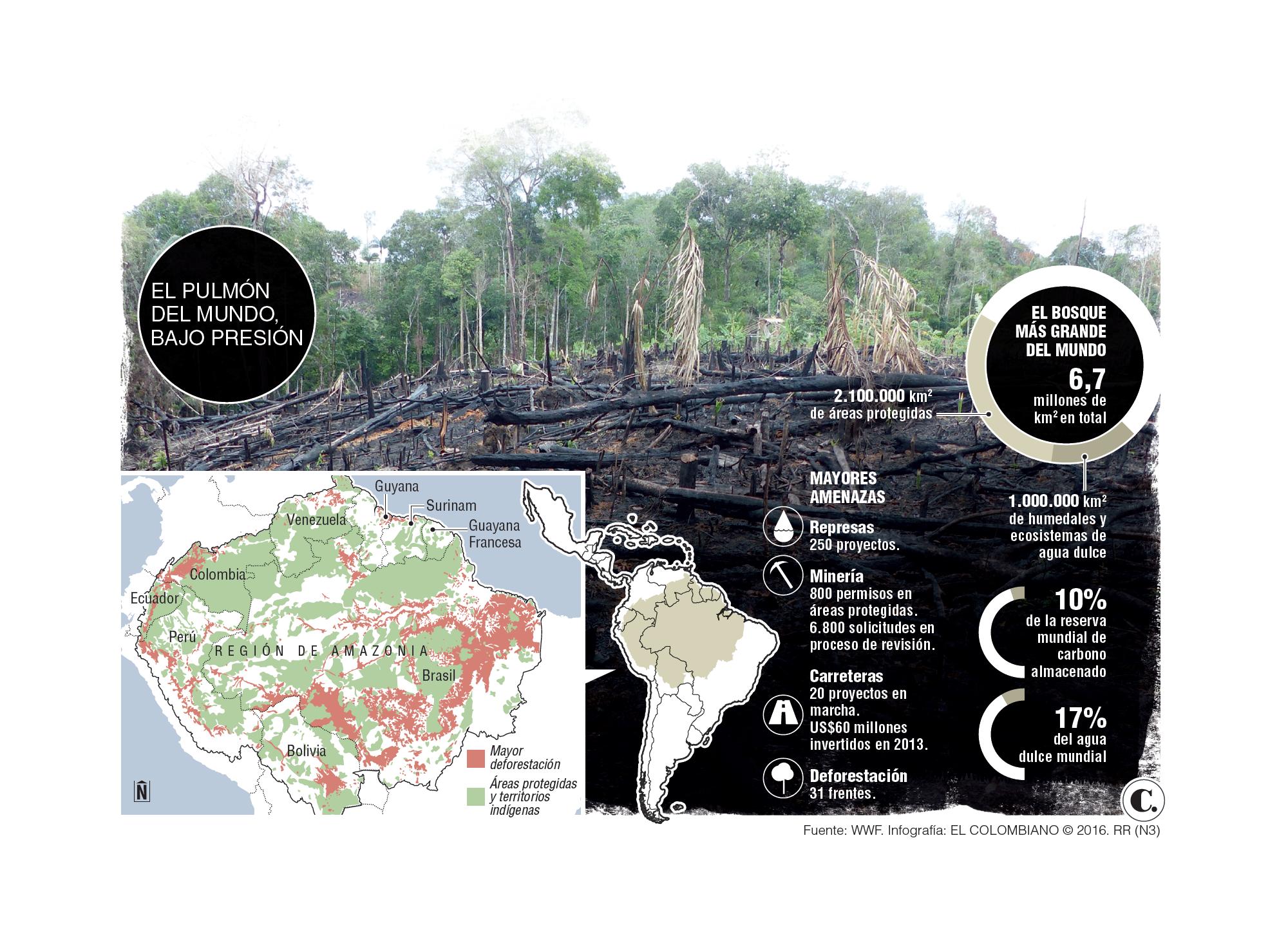 InfogrÃ¡fico