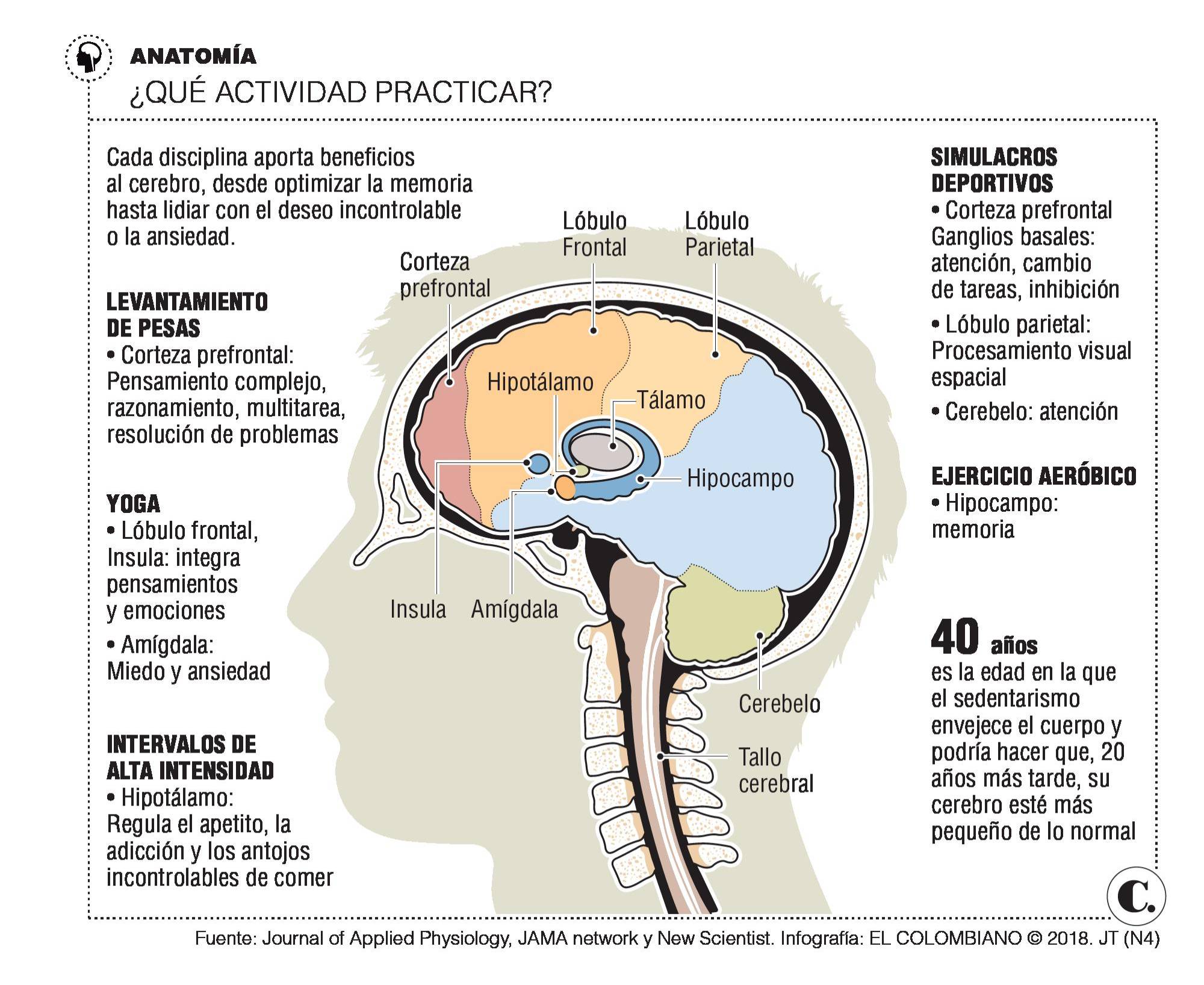 InfogrÃ¡fico