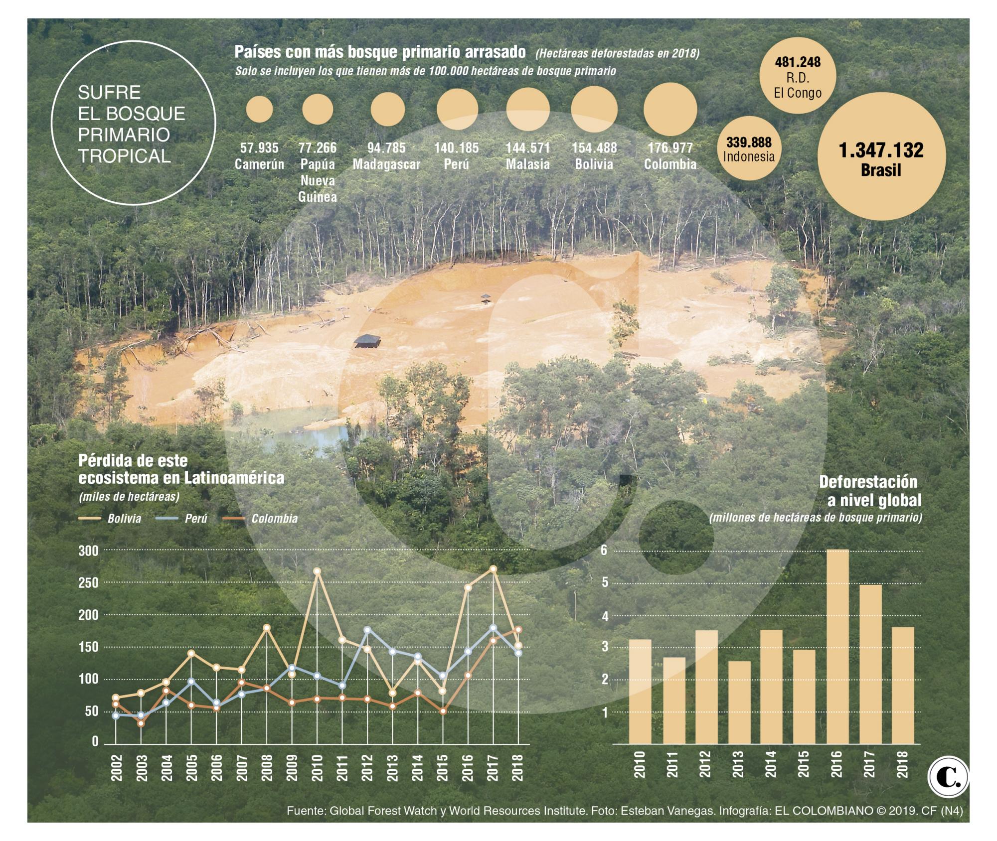 InfogrÃ¡fico