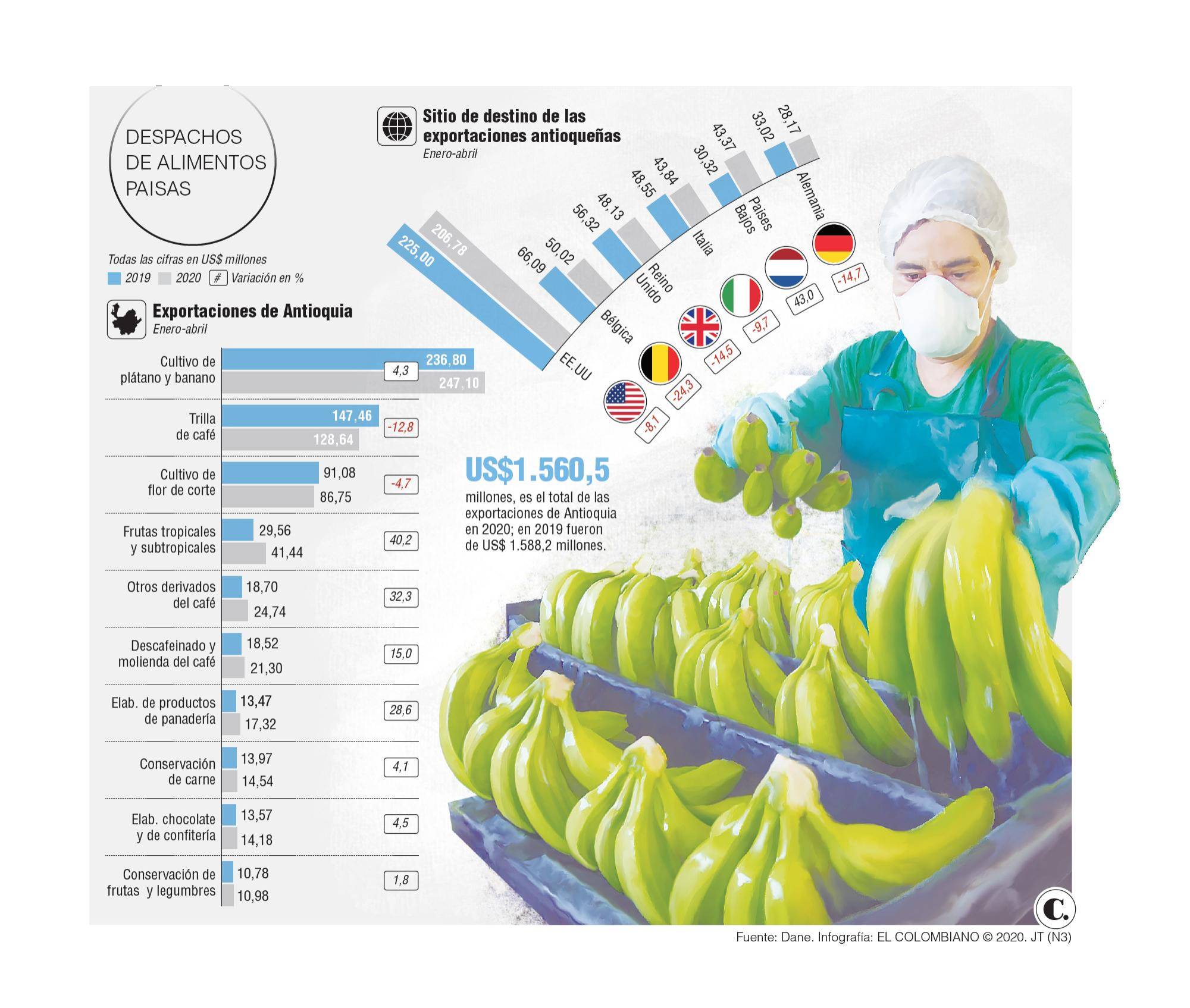 InfogrÃ¡fico