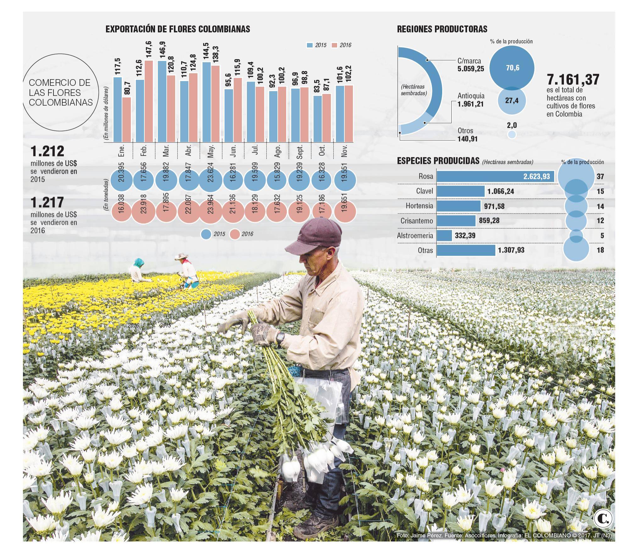 InfogrÃ¡fico