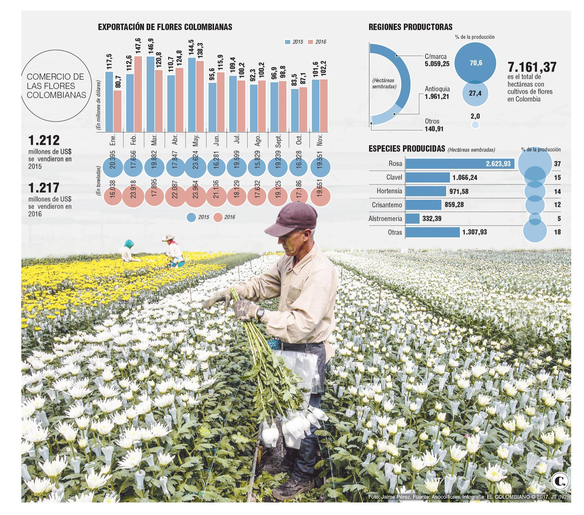 InfogrÃ¡fico