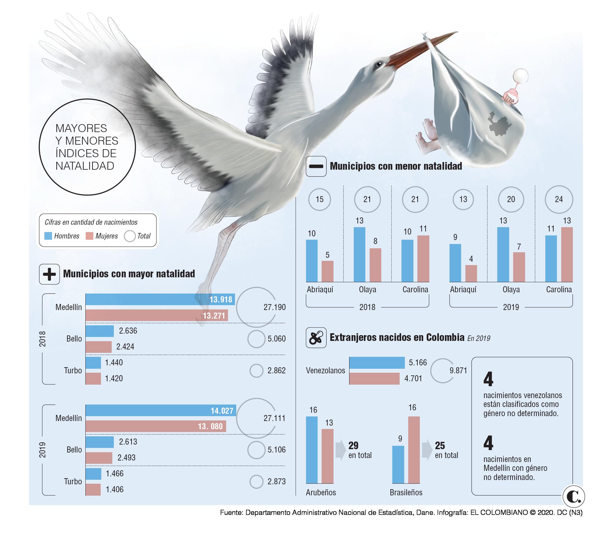 InfogrÃ¡fico