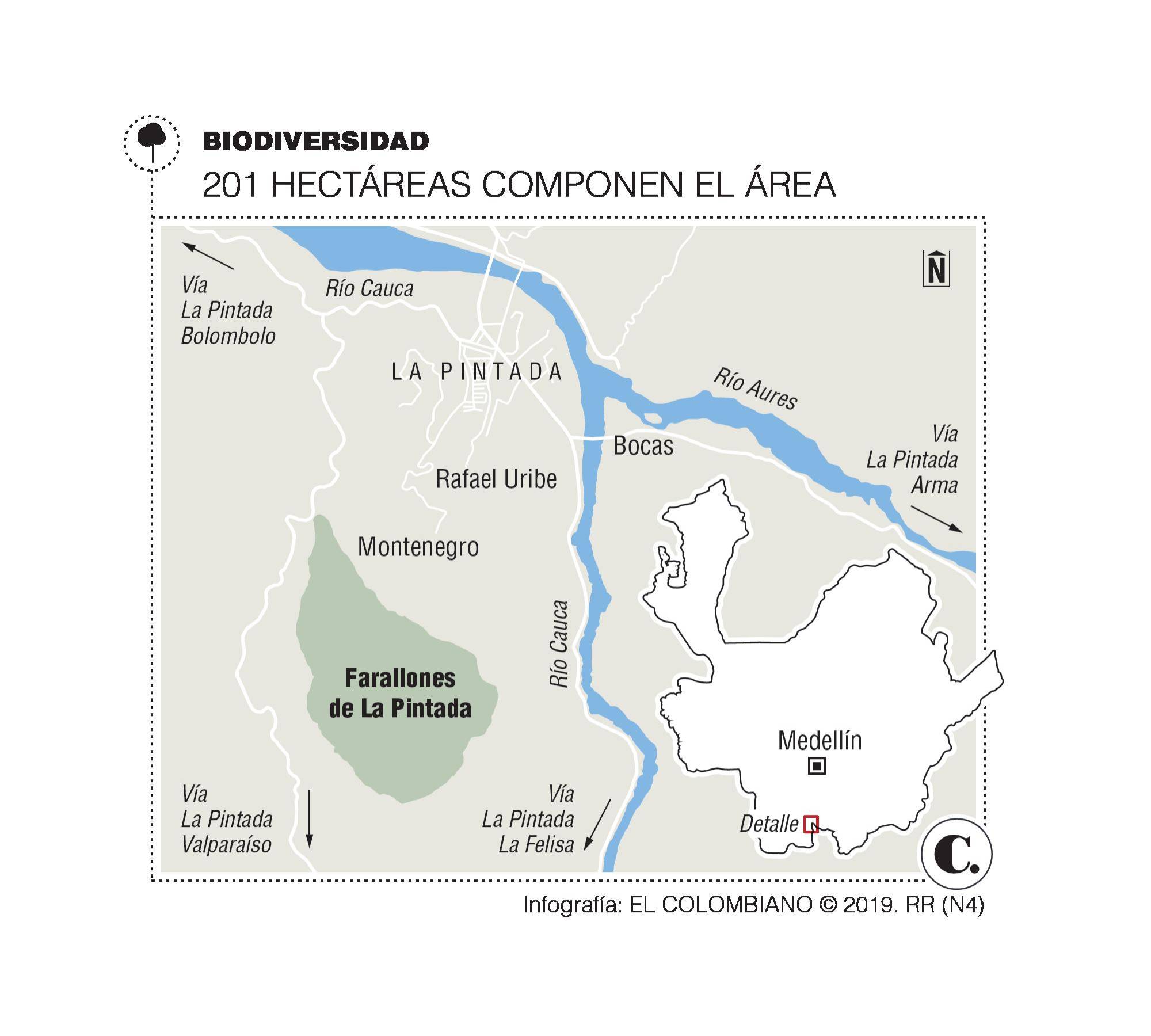 InfogrÃ¡fico