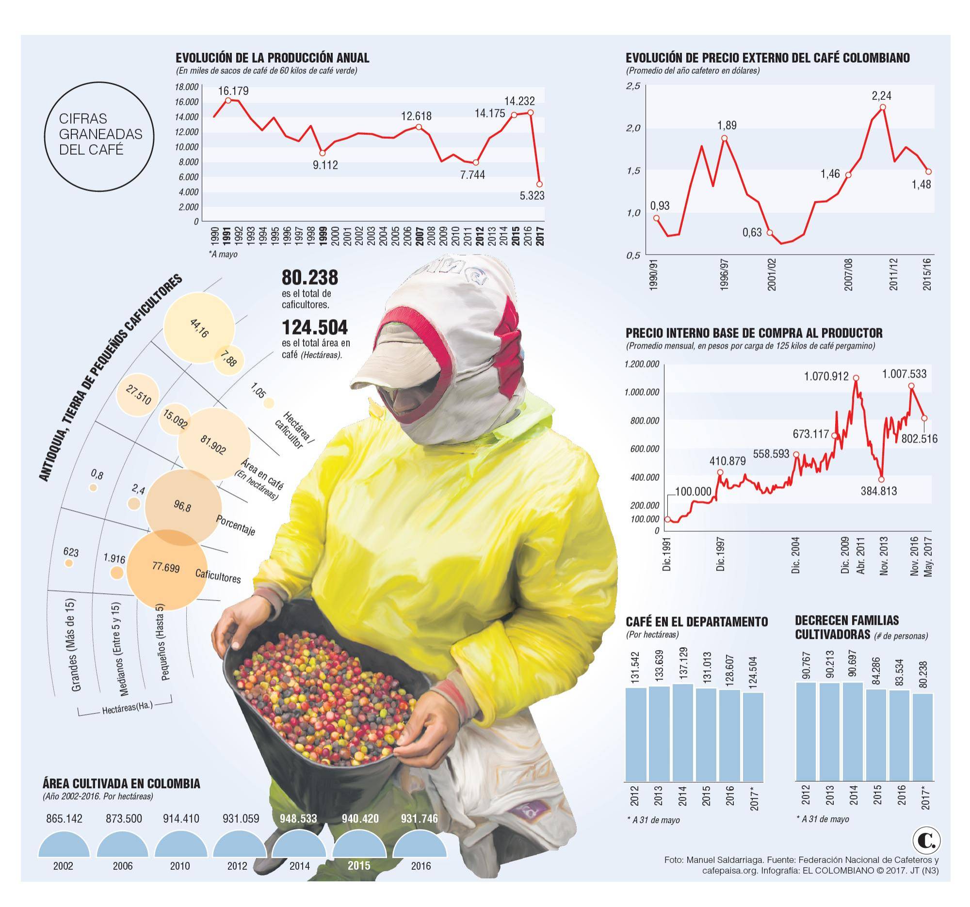 InfogrÃ¡fico