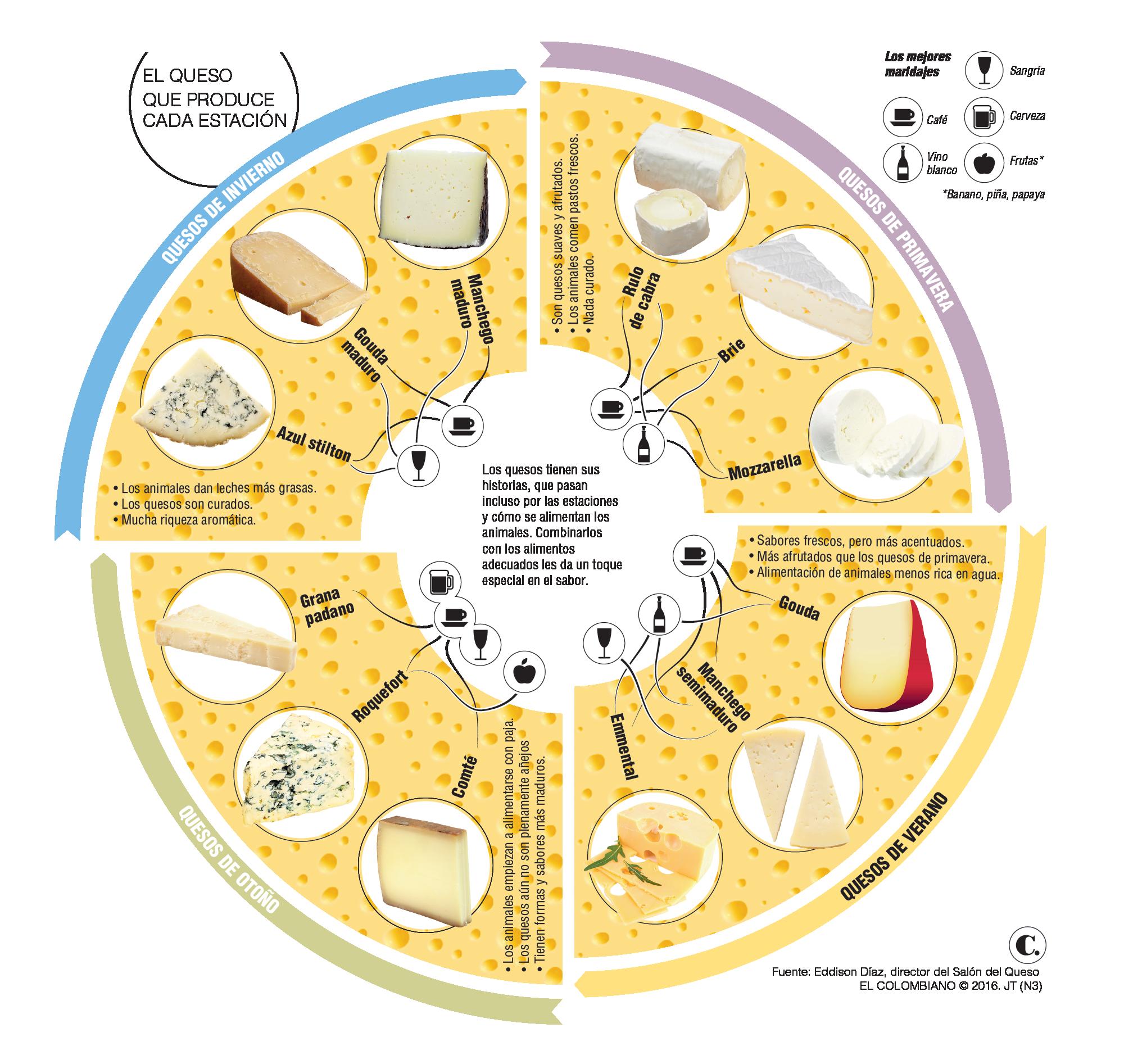 InfogrÃ¡fico