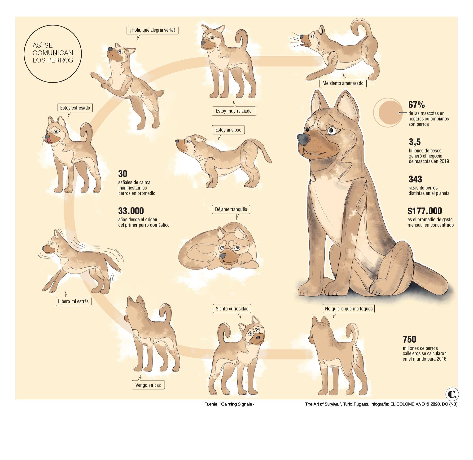 InfogrÃ¡fico