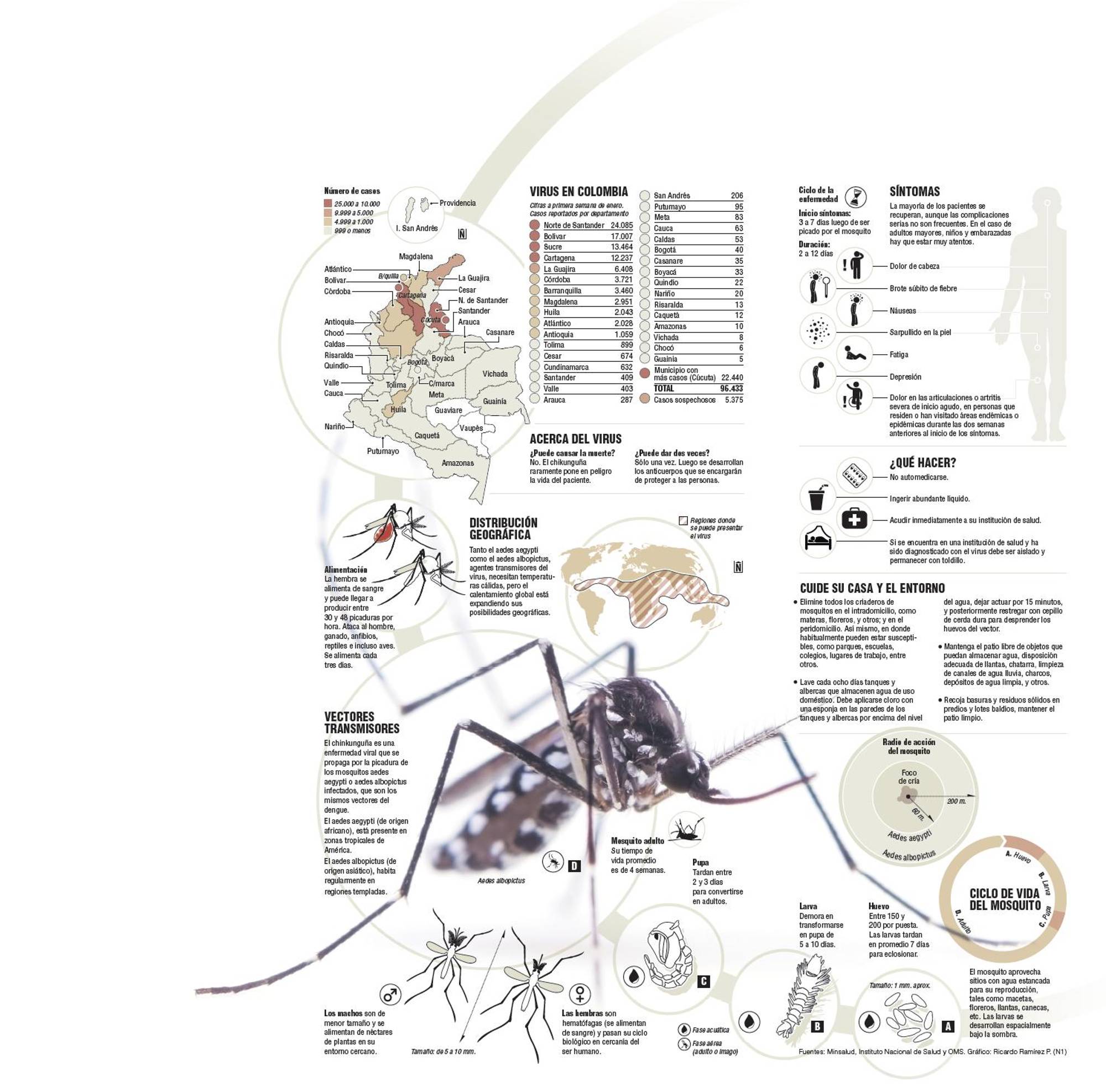 InfogrÃ¡fico