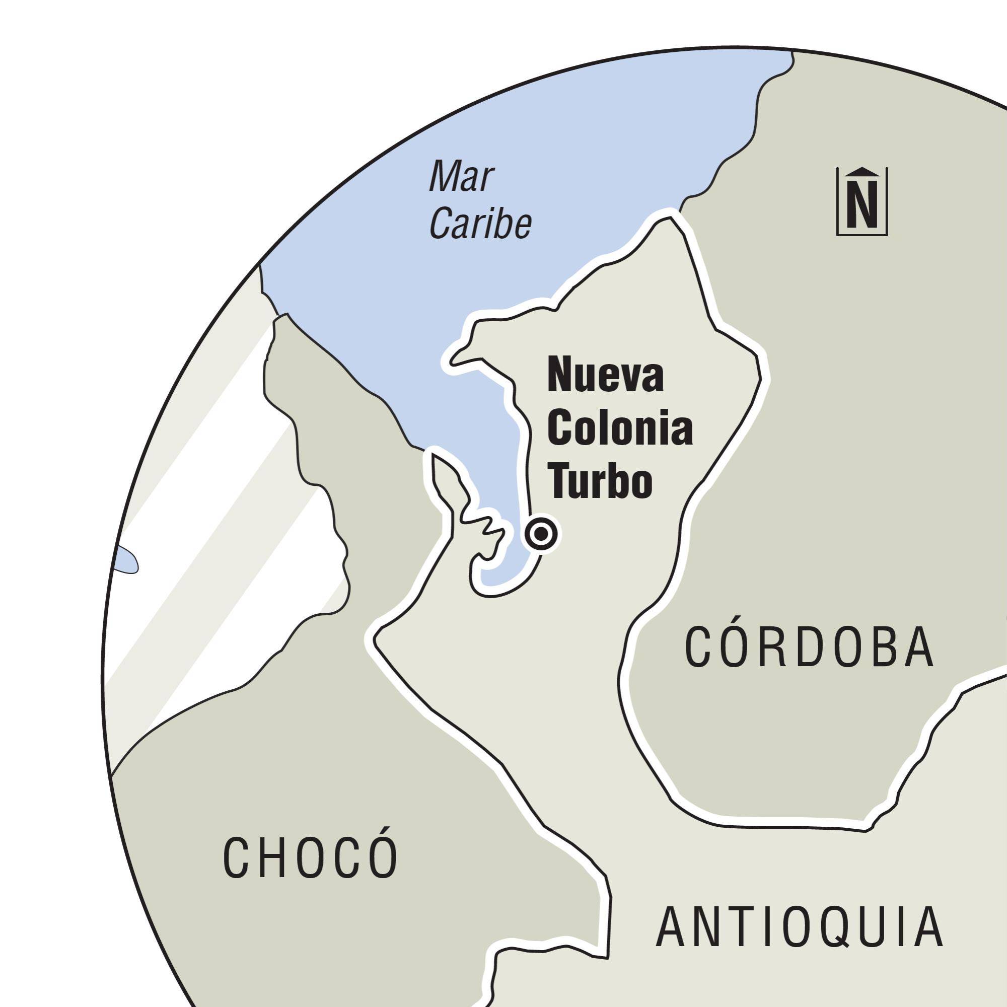 InfogrÃ¡fico