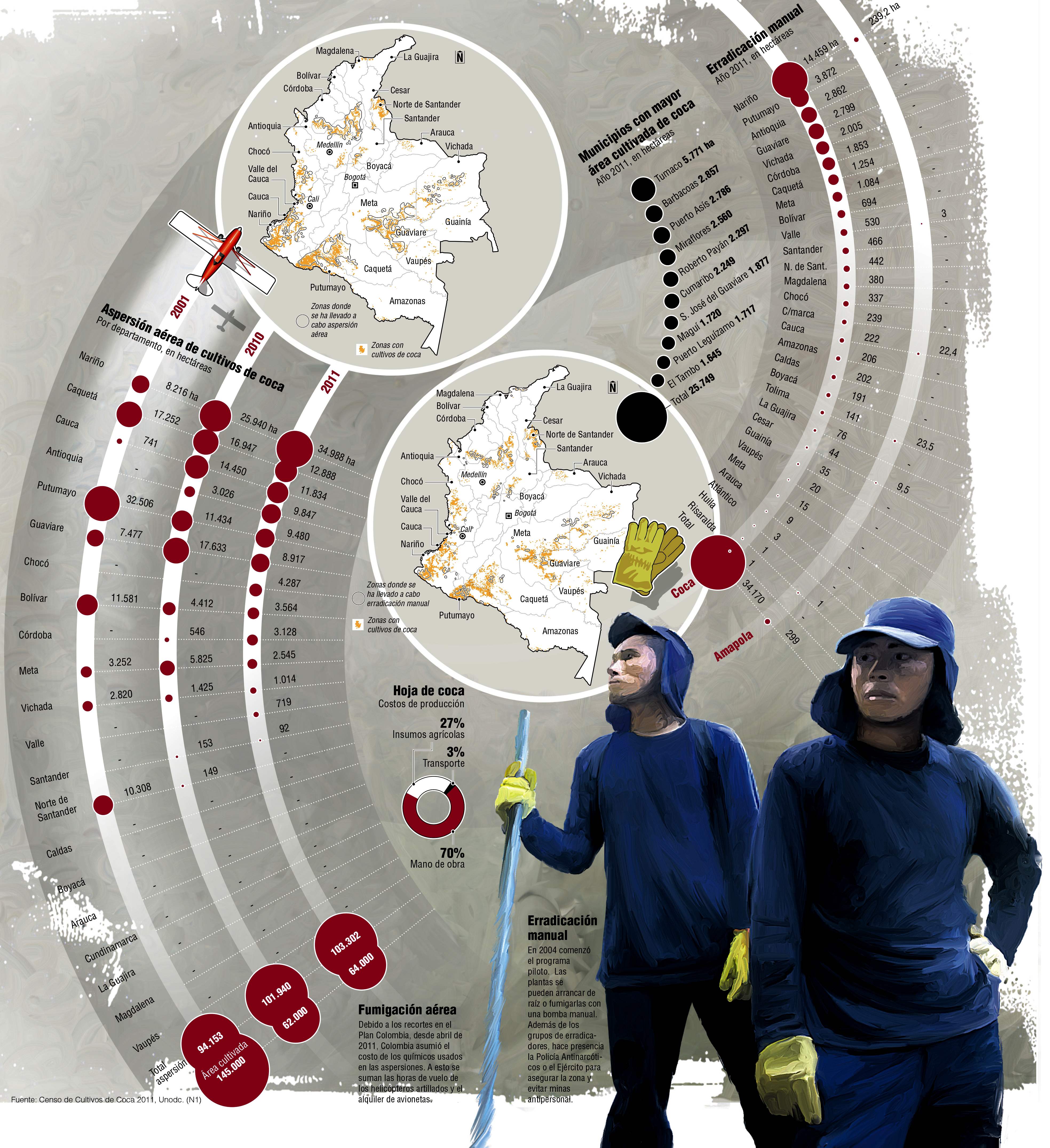 InfogrÃ¡fico