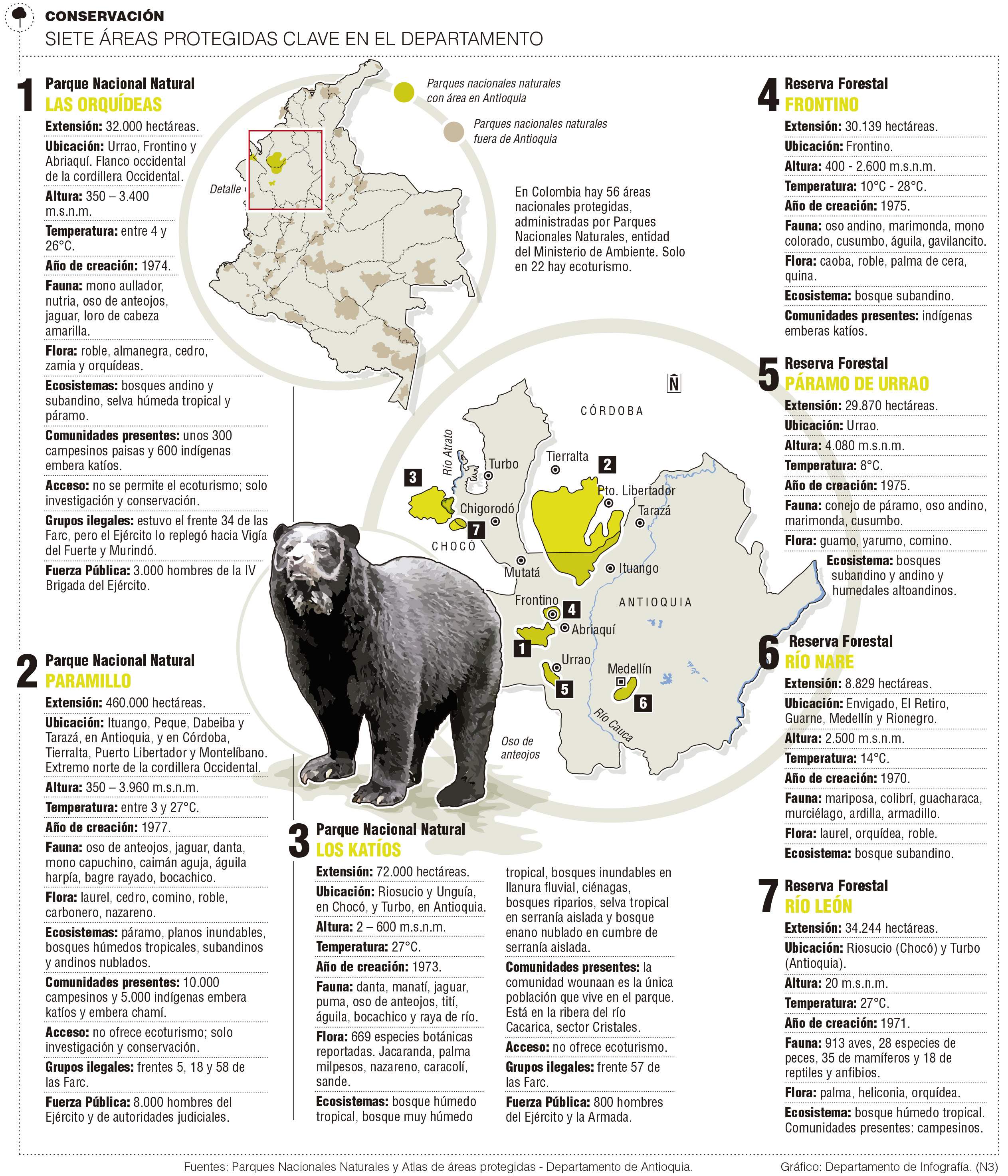 InfogrÃ¡fico