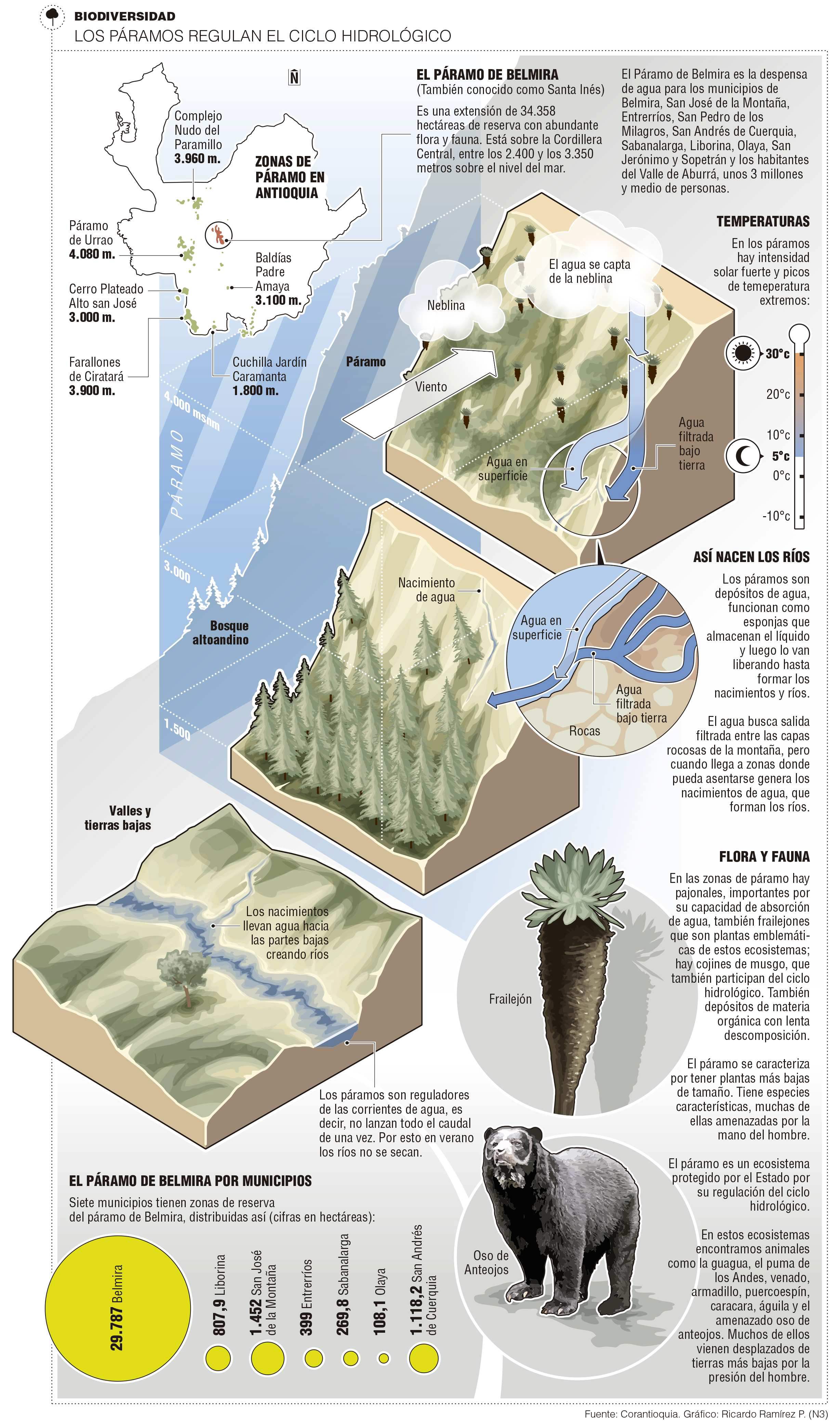 InfogrÃ¡fico