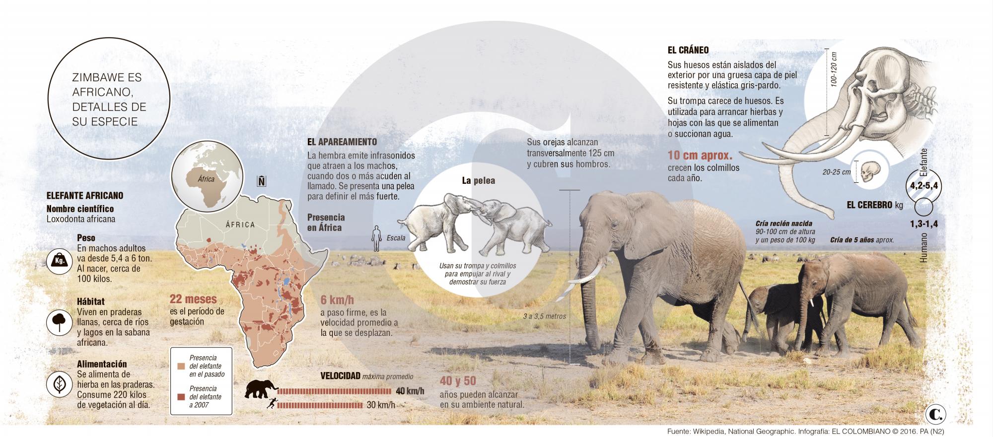 InfogrÃ¡fico