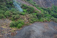 Unas cinco mil hectáreas incineradas y graves afectaciones en fuentes de agua, la flora y la fauna dejan los incendios en Tolima. Foto: Colprensa 