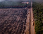 En los últimos dos años la región Amazónica en Colombia perdió 236.432 hectáreas de bosque. La tala ilegal, la ampliación de la frontera agrícola, la extracción ilícita de minerales, las malas prácticas de ganadería extensiva, son algunas causas FOTO GettyImages