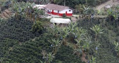 El corazón de Antioquia sigue siendo cafetero. Recorrimos las subregiones buscando a esos campesinos que son verdaderos autores en el mundo del café.