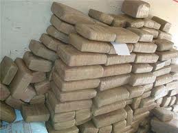 La Policía incautó 1.1 toneladas de marihuana del “Clan Úsuga” en el municipio de Dabeiba, Occidente antioqueño. CORTESÍA POLICÍA