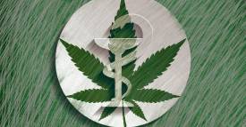 <span class="priority-content" mlnid="idcon=22062119;order=2.0">Marihuana terapéutica</span>