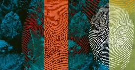 <span class="priority-content" mlnid="idcon=29036862;order=2.0">Desaparición y niños</span>