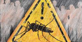 <span class="priority-content" mlnid="idcon=25202018;order=2.0">Hay que contener el zika</span>