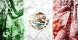 <span class="priority-content" mlnid="idcon=27819122;order=2.0">México y sus preocupaciones</span>