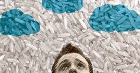 <span class="priority-content" mlnid="idcon=22833098;order=2.0">Arroz, costoso y escaso </span>