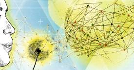 <span class="priority-content" mlnid="idcon=31893802;order=2.0">Modernización del sector TIC</span>