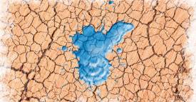 <span class="priority-content" mlnid="idcon=25199225;order=2.0">Niño y ríos: agua pasó por aquí</span>