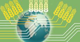 <span class="priority-content" mlnid="idcon=31310770;order=2.0">Pronósticos de la FAO-OCDE</span>