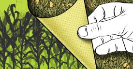 <span class="priority-content" mlnid="idcon=31576690;order=2.0">Combatir la coca, una obligación</span>