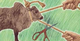 <span class="priority-content" mlnid="idcon=25118670;order=2.0">Los parafiscales del ganado</span>