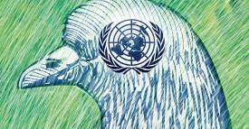 <span class="priority-content" mlnid="idcon=25201274;order=2.0">Muy concentrados, ONU dijo sí</span>