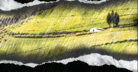 <span class="priority-content" mlnid="idcon=23972146;order=2.0">En el agro, mucho por hacer</span>