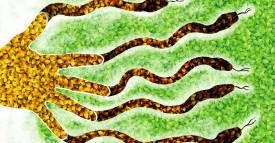 <span class="priority-content" mlnid="idcon=30484173;order=2.0">Al rescate de los ecosistemas</span>