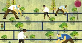 <span class="priority-content" mlnid="idcon=26813906;order=2.0">Reforma rural: eje de la paz</span>