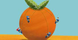 <span class="priority-content" mlnid="idcon=34194997;order=2.0">La Cumbre Naranja</span>