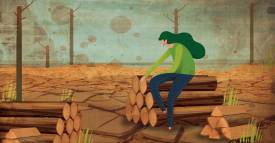 <span class="priority-content" mlnid="idcon=34646058;order=2.0">A proteger nuestros bosques</span>