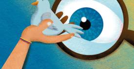 <span class="priority-content" mlnid="idcon=34504626;order=2.0">Con ONU, compromiso en D.H.</span>