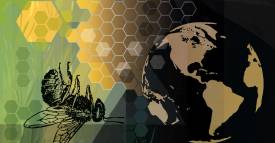 <span class="priority-content" mlnid="idcon=33169195;order=2.0">Hay que proteger las abejas</span>