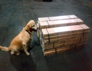 Antinarcóticos incautó 123 kilos de marihuana en empresa de envíos