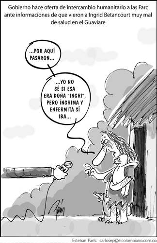 InfogrÃ¡fico