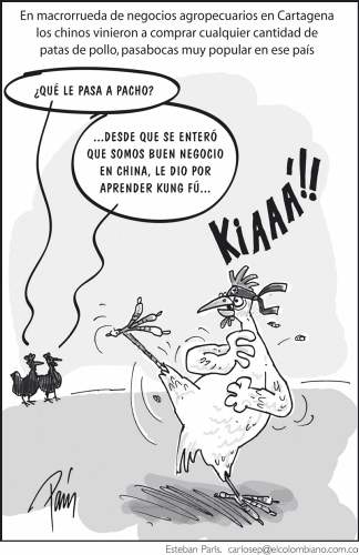InfogrÃ¡fico
