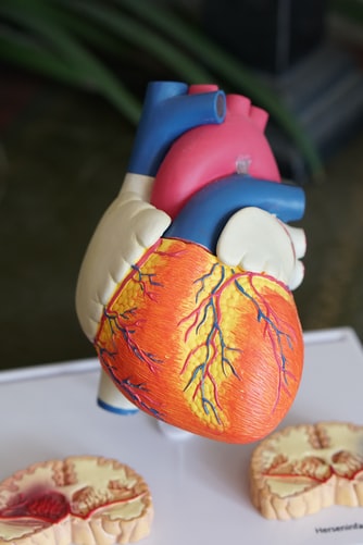 Dos de cada 100 colombianos tienen insuficiencia cardíaca, según la Revista Colombia de Cardiología. Foto: Unsplash