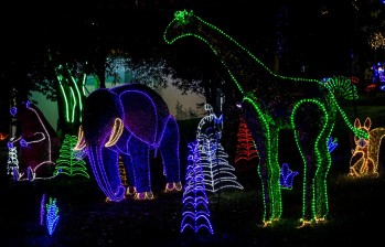 La selva colombiana enciende los alumbrados en La Estrella