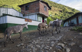 Santa Lucía, en Ituango, será reparada por haber sufrido los efectos del conflicto armado. Inició diagnóstico. FOTO Donaldo Zuluaga
