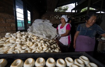En Popayán se comen Carantantas, con ellas también se prepara sopa, un plato tradicional de ese lugar del país. FOTO: SSTOCK
