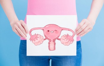 Los resultados del estudio revelan nuevos conocimientos en la comprensión del funcionamiento del endometrio y ayudarán en la comprensión de enfermedades como la endometriosis. FOTO sstock